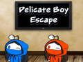Jogo Fuga de menino delicado  online