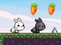 Jogo Coelho fofo  online