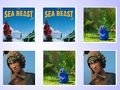 Jogo Jogo de cartão de memória The Sea Beast  online
