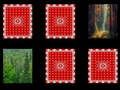 Jogo Memória da floresta  online