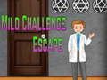 Jogo Fuga de desafio suave Amgel  online