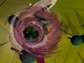 Jogo TOYNADO online