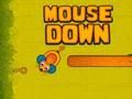 Jogo Mouse para baixo  online