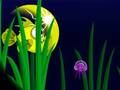 Jogo Flash Fish Freddie online