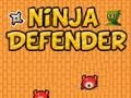 Jogo Defensor Ninja  online