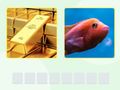 Jogo Picword online