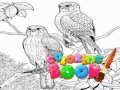 Jogo Livro de Colorir para Adultos  online