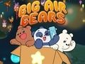 Jogo Grandes Ursos do Ar  online
