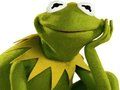 Jogo Livro de colorir para Kermit, o sapo  online