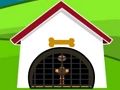 Jogo Resgate de avestruzes  online