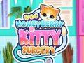 Jogo Doc Cirurgia de Kitty Doc Honeyberry online