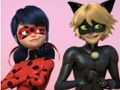 Jogo Quebra-cabeça Miraculous Ladybug & Cat Noir  online