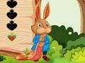 Jogo Fuga do esquilo  online