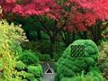 Jogo Fuga do Jardim Maple Leaf  online