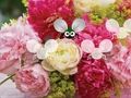 Jogo Pretty Blossom Papel de Parede Escape  online