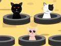 Jogo Pegar gatos  online