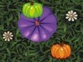 Jogo Combinação de cores de abóbora  online