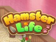 Jogo Enigma da Vida do Hamster  online