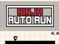 Jogo Corrida Automática Ninja  online