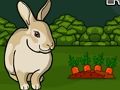 Jogo Salve o Coelho Cinzento  online