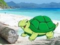 Jogo Fuga de par de caranguejos de praia  online