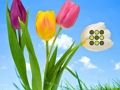 Jogo Fuga do gramado florido  online