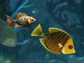 Jogo Diversão sem fim com peixes  online