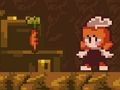 Jogo A Floresta Perdida  online