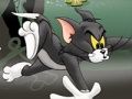 Jogo Tom e Jerry Chase em Marsh  online