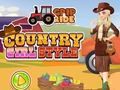 Jogo Estilo country  online