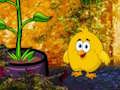 Jogo Casa antiga  online