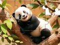 Jogo Quebra-cabeça: Panda na árvore  online