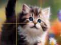 Jogo Gatinhos deslizantes de quebra-cabeça  online