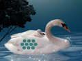 Jogo Salve o Cisne Mãe Filho  online