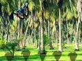 Jogo Resgatar Tigre da Tasmânia  online