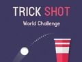 Jogo Desafio Mundial de Trick Shot  online