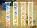 Jogo Classificar bolhas  online