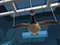 Jogo Museu do Ganso  online