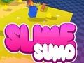 Jogo Lodo de sumô Modelo 3D  online