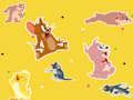 Jogo O programa de Tom e Jerry Encontre!  online