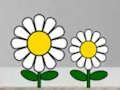 Jogo Encontre planta suculenta  online