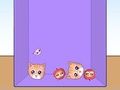 Jogo Evolução dos memes de gatos  online