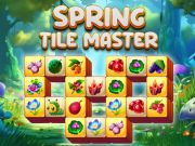 Jogo Mestre da telha de primavera  online