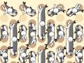 Jogo Coleta de peixes  online