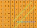 Jogo Pesquisa de palavras html5  online