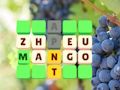 Jogo Slide de palavras  online