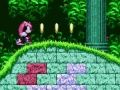 Jogo Poderoso e Ray em Sonic 2  online