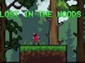 Jogo Perdido na floresta  online