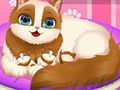 Jogo Gatinha fofa grávida  online