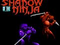 Jogo Sombra do Ninja  online